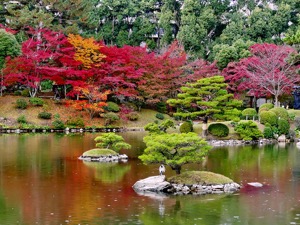 Toursgallery Brings you Japan in Autumn